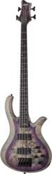 RIOT-4 SARB Schecter