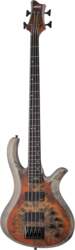 RIOT-4 SIB Schecter