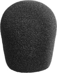 WNS 120 Neumann