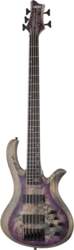 RIOT-5 SARB Schecter