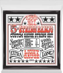 2312 Light 5-String Loop End Stainless