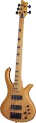 2853 RIOT SESSION-5 ANS Schecter
