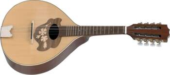 Flat mandolin Pro Arte Model 2