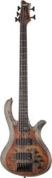 RIOT-5 SIB Schecter
