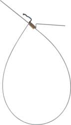 Cello tail gut tail gut