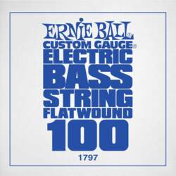 1797 .100 Flatwound Electric Bass String