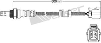 Honda Lambda zonde 36531PLD003