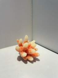 AKVASERVISS Red cones