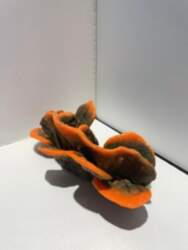 AKVASERVISS Red sponge