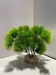 AKVASERVISS Wild Moss
