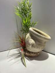 AKVASERVISS Jar Plant Air Diffuser