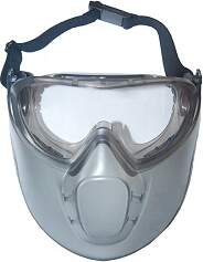 Plastic visor with glasses