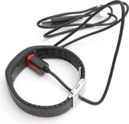 POLAR Loop
