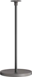 XGIMI Floor Stand (Elephant Grey)