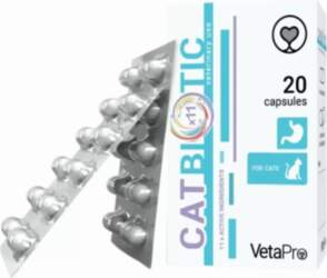 CATBIOTIC N20