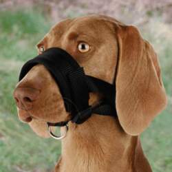 Uzpurnis suņiem - Trixie Muzzle Loop