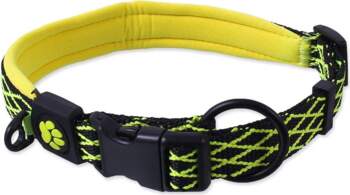 Active Dog Collar Mystic L lime