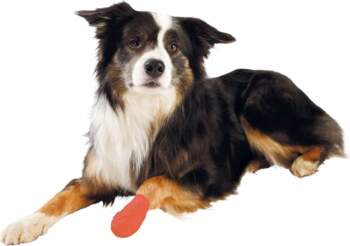 Trixie Bandages Self-Adhesive elastīgs pārsējs suņiem