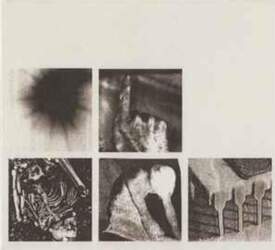 Capitol Records CD Nine Inch Nails