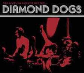 ChangesOne CD Diamond Dogs - Too