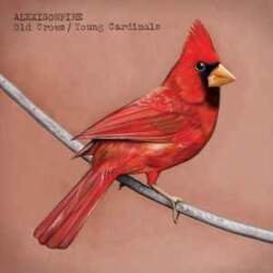 Vagrant Records CD Alexisonfire - Old