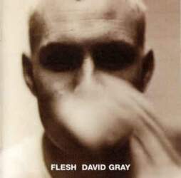 Hut Recordings CD David Gray -