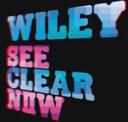 Asylum Records CD Wiley - See