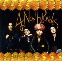Interscope Records CD 4 Non Blondes