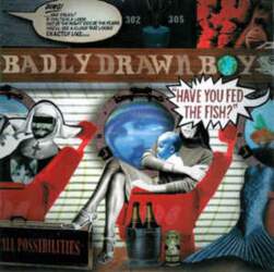 Twisted Nerve CD Badly Drawn Boy