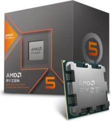AMD Ryzen 5 8600G Processor Tray