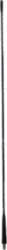 ANTENNA