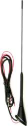 ANTENNA WITH AMPLIFIER