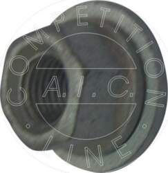 AIC 50979 -