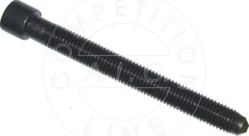 AIC 51229 - Cilindru galvas skrūve