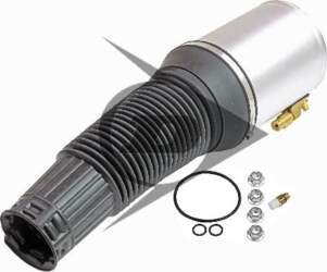 AIC 71051 - Pneimoatsperes statnis