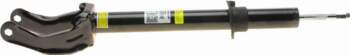 AIC 71470 - Pneimoatsperes statnis