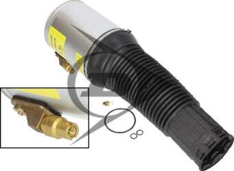AIC 71052 - Pneimoatsperes statnis