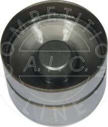 AIC 51199 - Bīdītājs