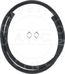AIC 57491 -