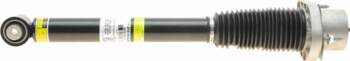 AIC 71156 - Pneimoatsperes statnis