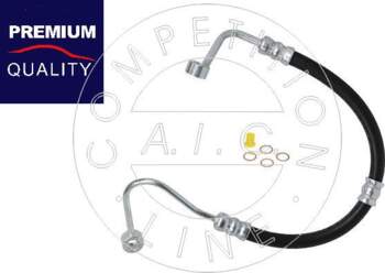 AIC 58675 -