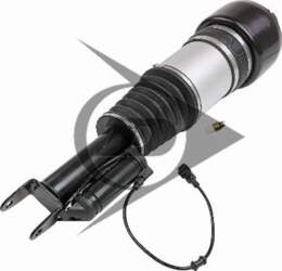 AIC 71187 - Pneimoatsperes statnis
