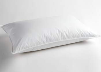 PREMIUM feather/down pillow