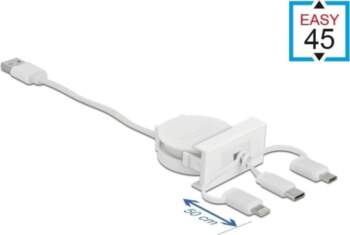 Delock Easy 45 Module USB 2