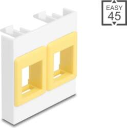 Delock Easy 45 Module with two