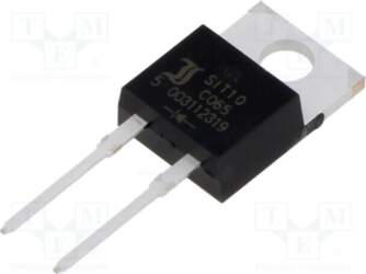 DIOTEC SEMICONDUCTOR Diode: Schottky rectifying; SiC