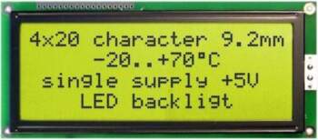 DISPLAY VISIONS Display: LCD; alphanumeric; STN
