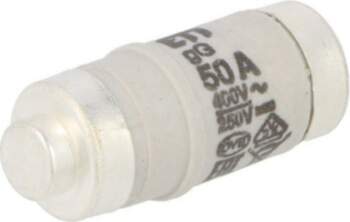 ETI POLAM Fuse: fuse; D02; ceramic