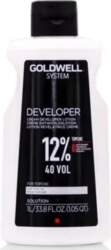 Systems Developer Goldwell 1000 Ml 40