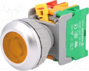 AUSPICIOUS Switch: push-button; 30mm; Stabl.pos: